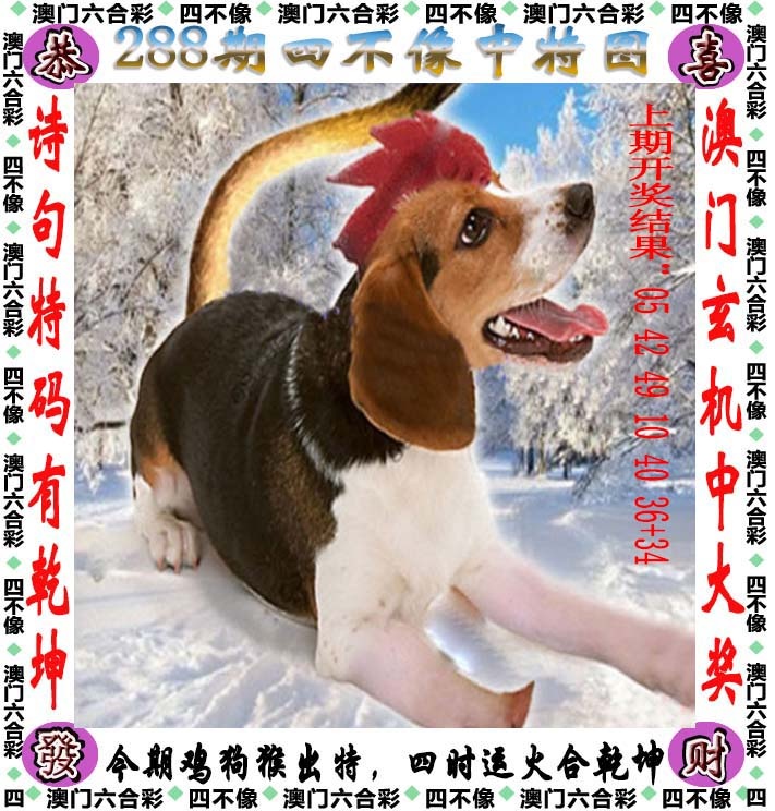 288期四不像[图]