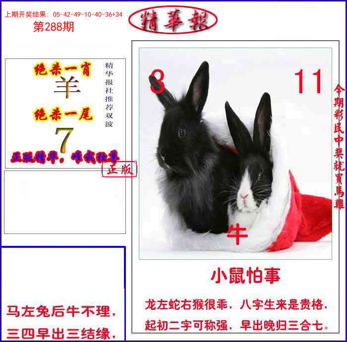 288期新精华报报[图]