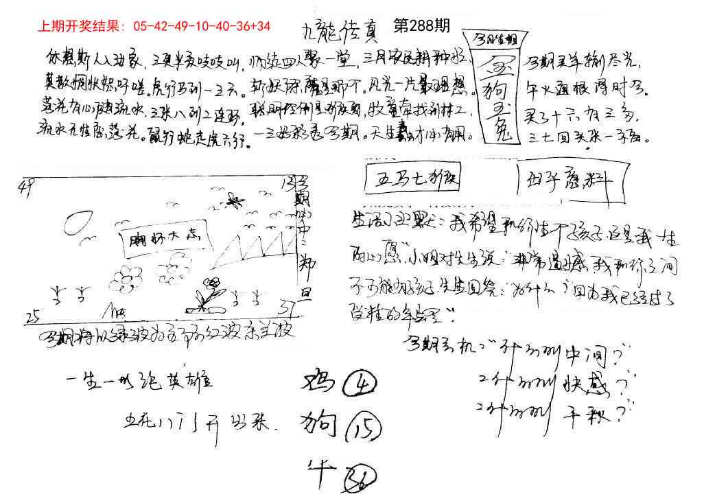 288期手写九龙内幕[图]