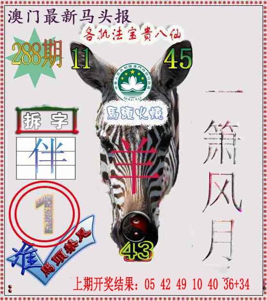 288期马头报[图]