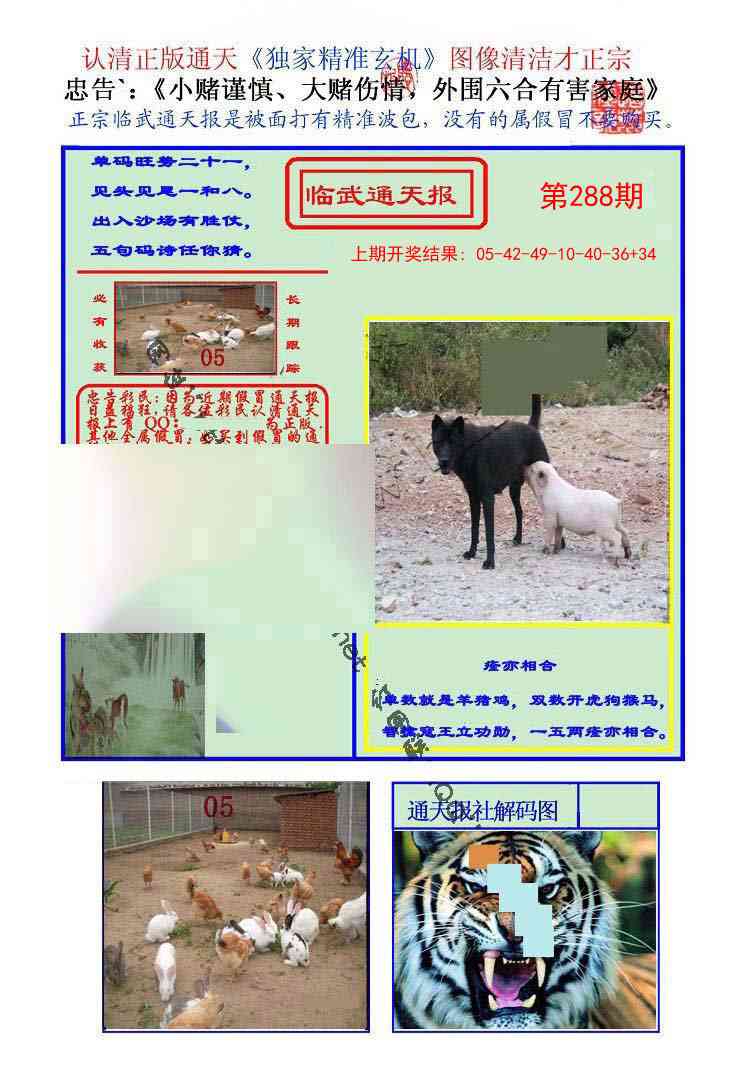 288期临武通天报[图]