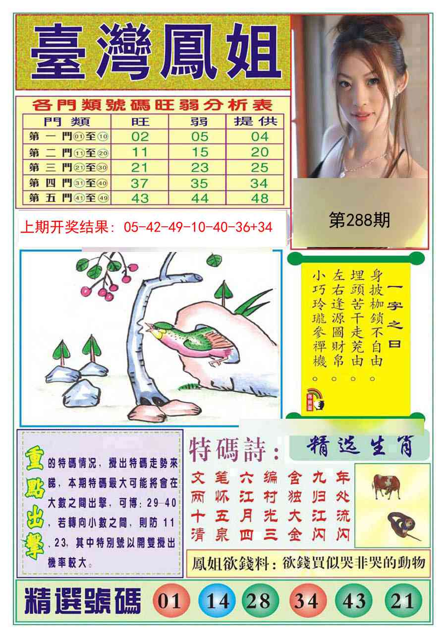 288期台湾凤姐[图]