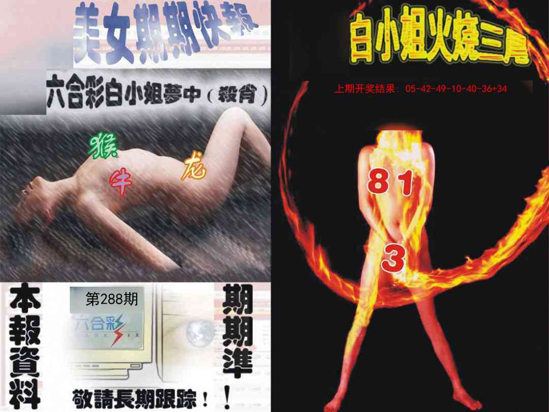 288期环球美女特码报[图]