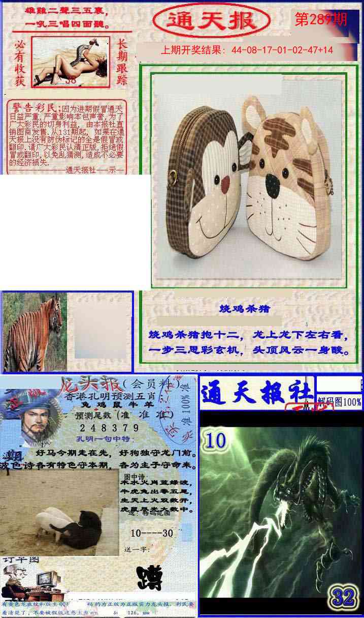 289期实力通天报[图]