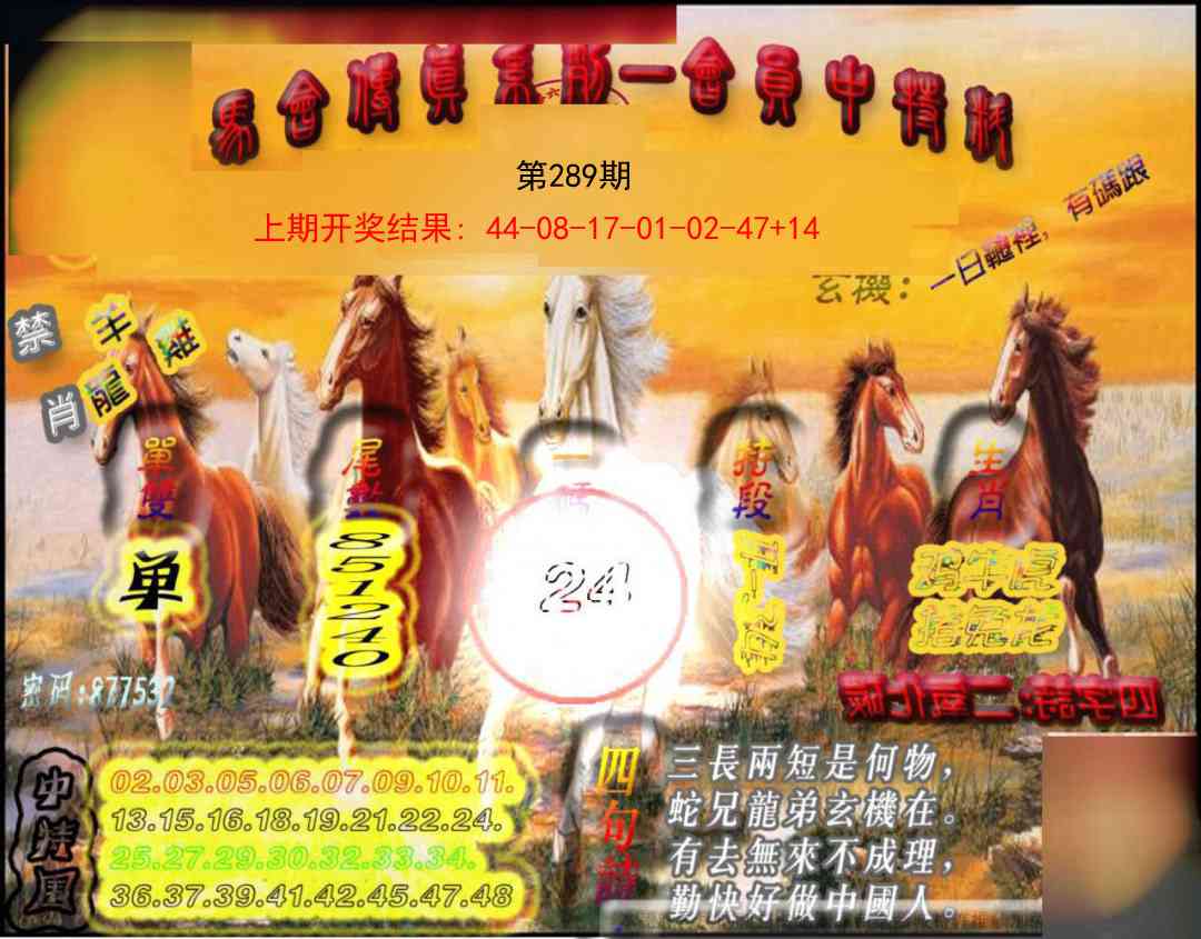 289期马会传真-会员报[图]
