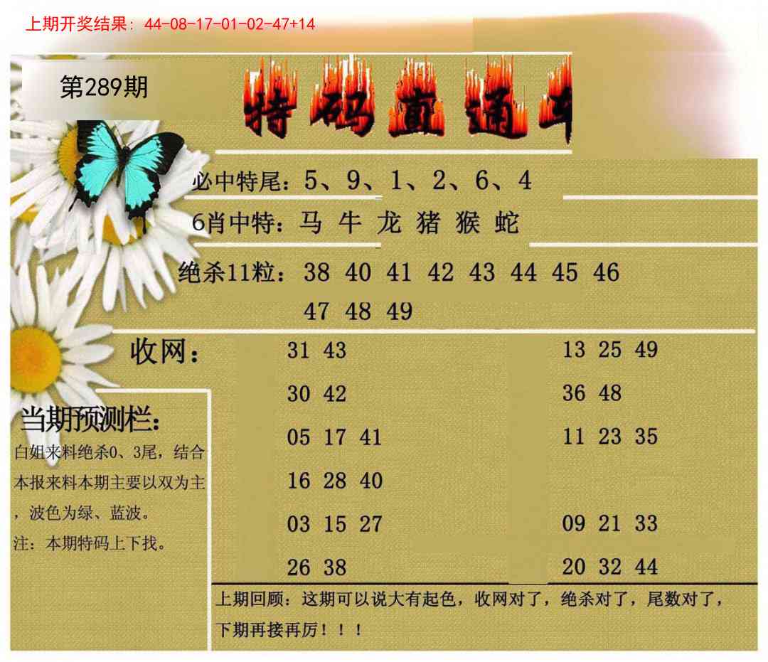289期特码直通车[图]
