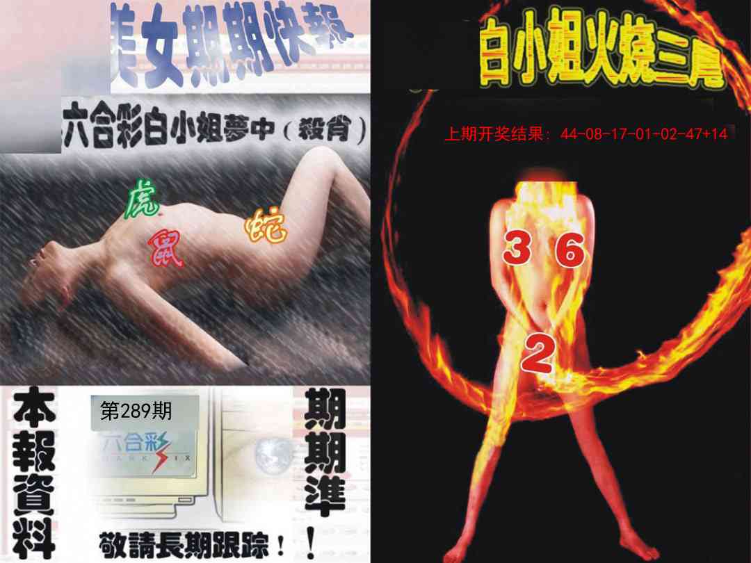 289期环球美女特码报[图]