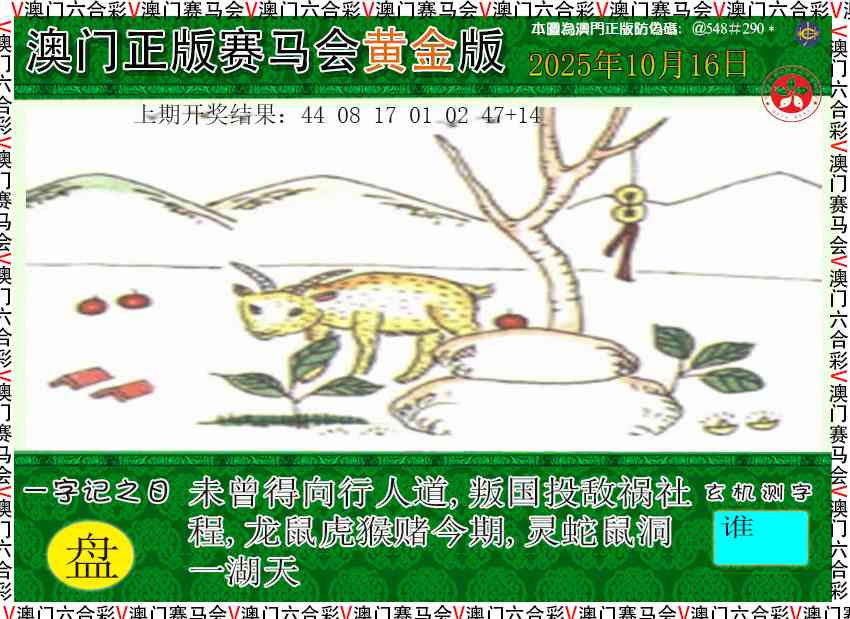289期赛马会黄金版[图]
