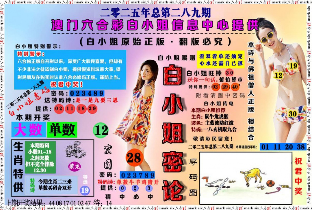 289期白小姐密论[图]