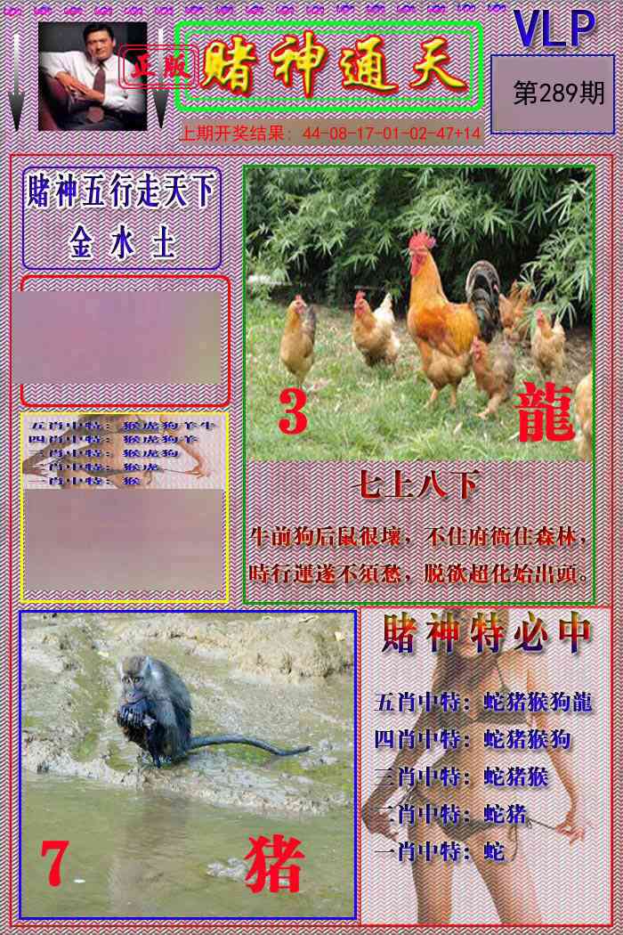 289期赌神通天报[图]