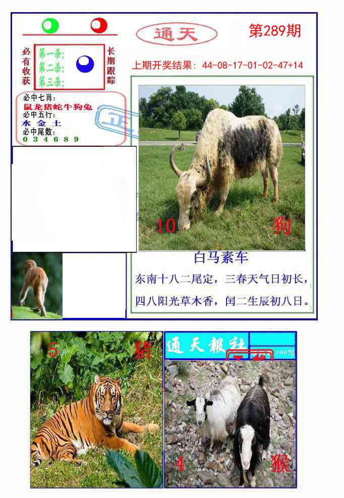 289期通天杀波图2[图]