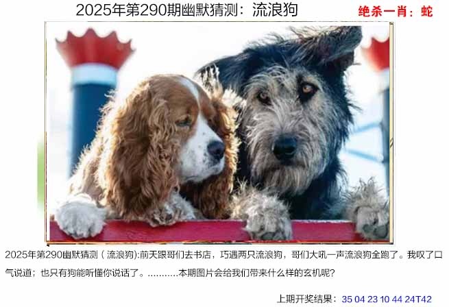 290期幽默猜测[图]