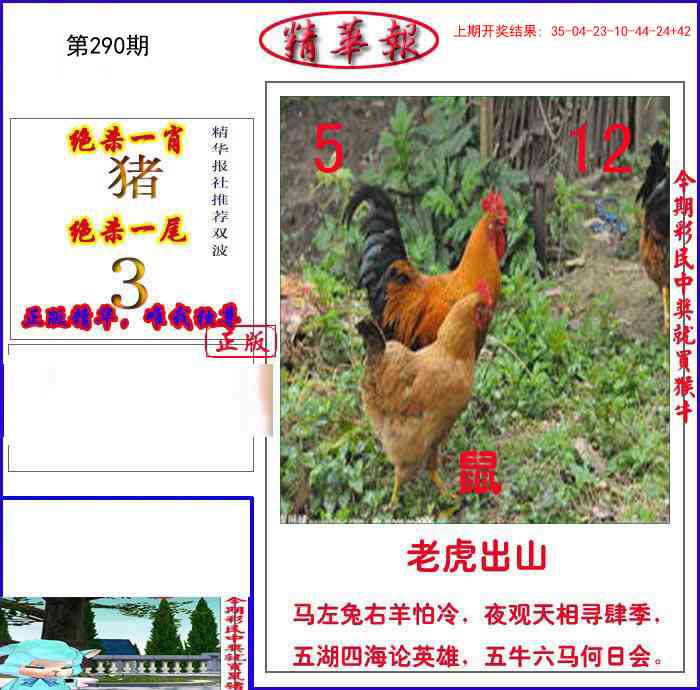 290期新精华报报[图]