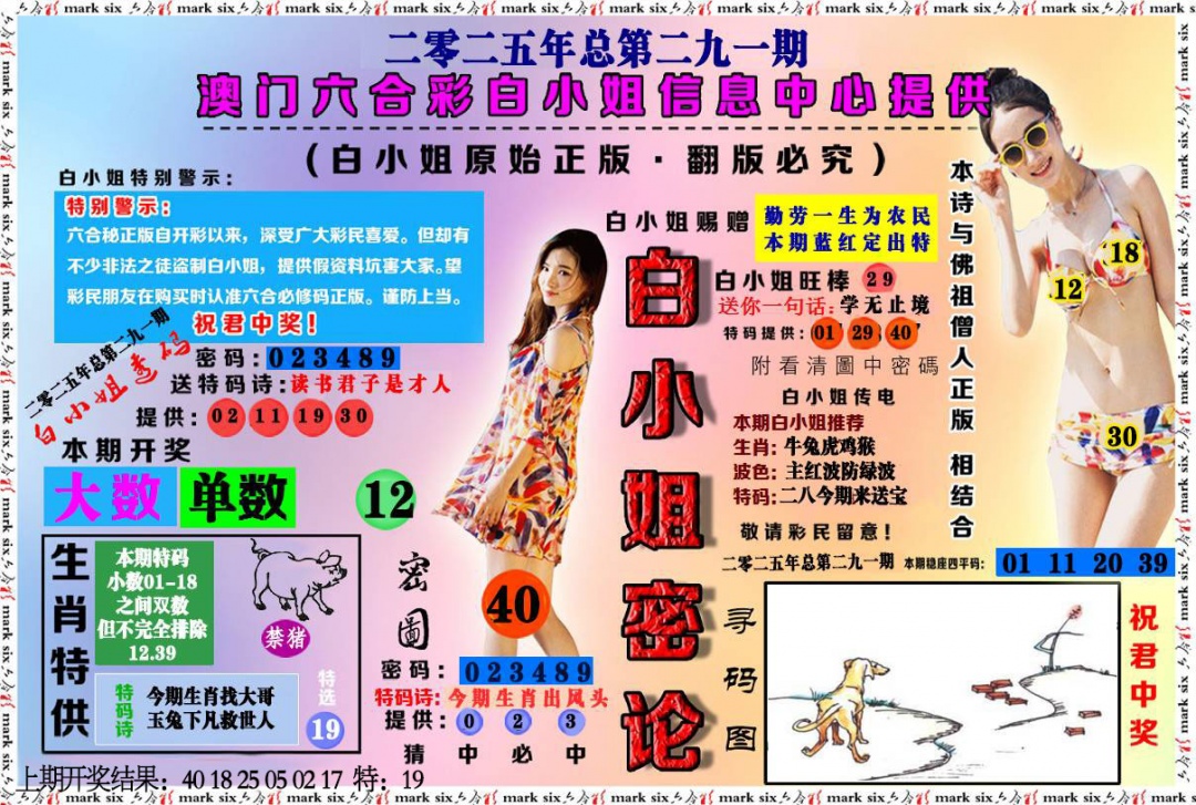 291期白小姐密论[图]