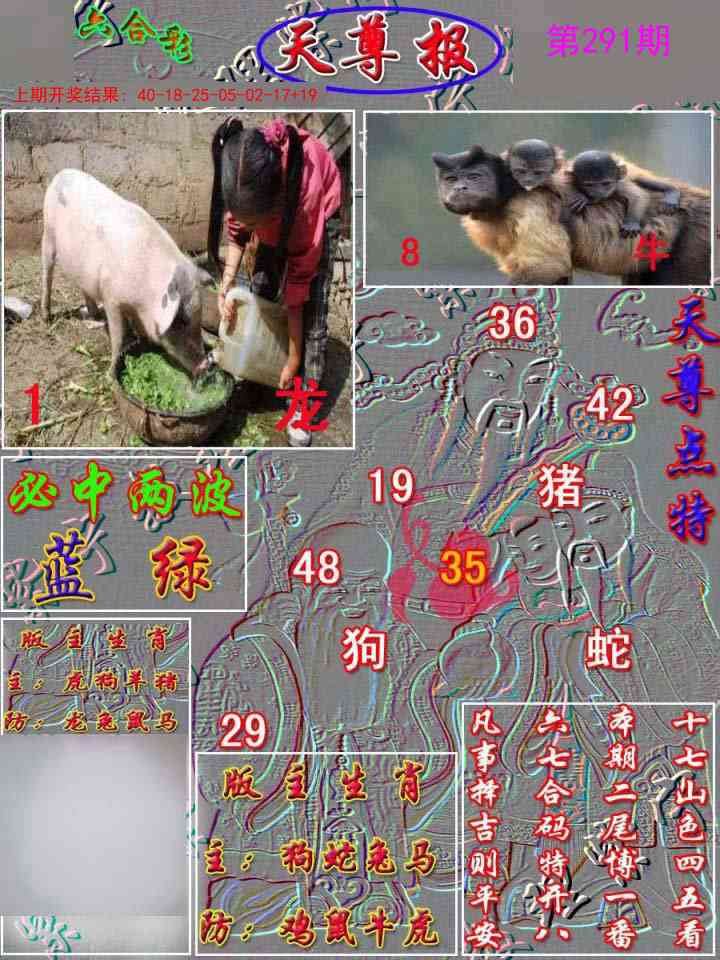 291期天尊报[图]