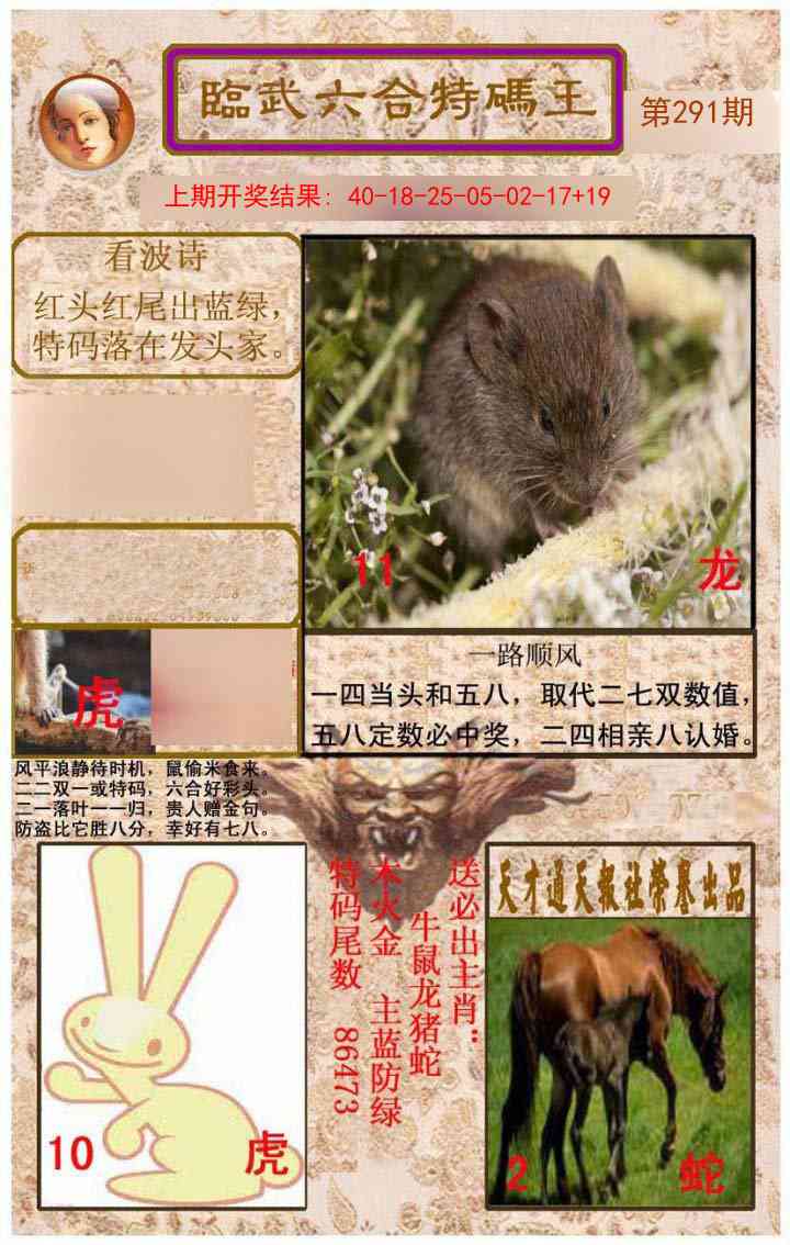 291期临武六合特码王[图]