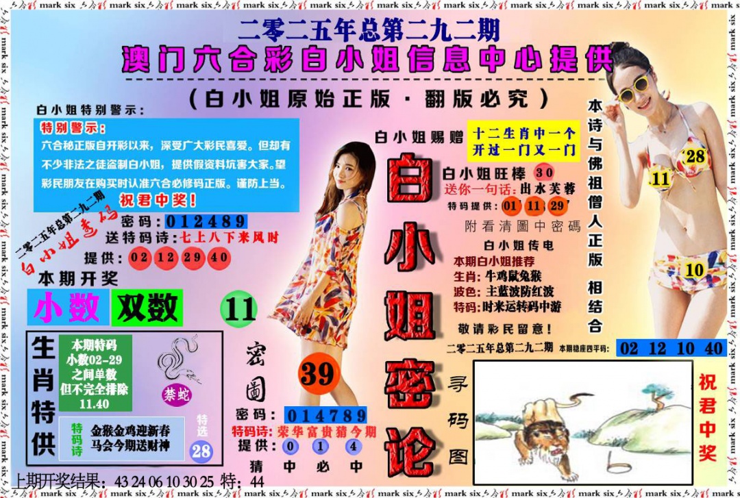 292期白小姐密论[图]