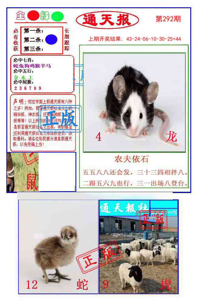 292期通天杀波图1[图]