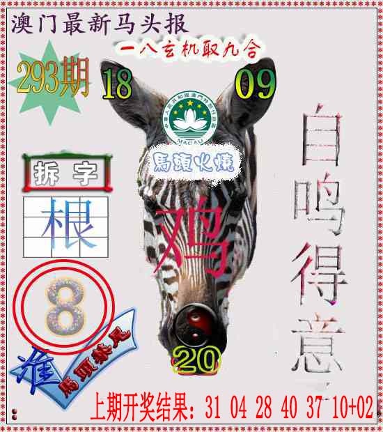 293期马头报[图]