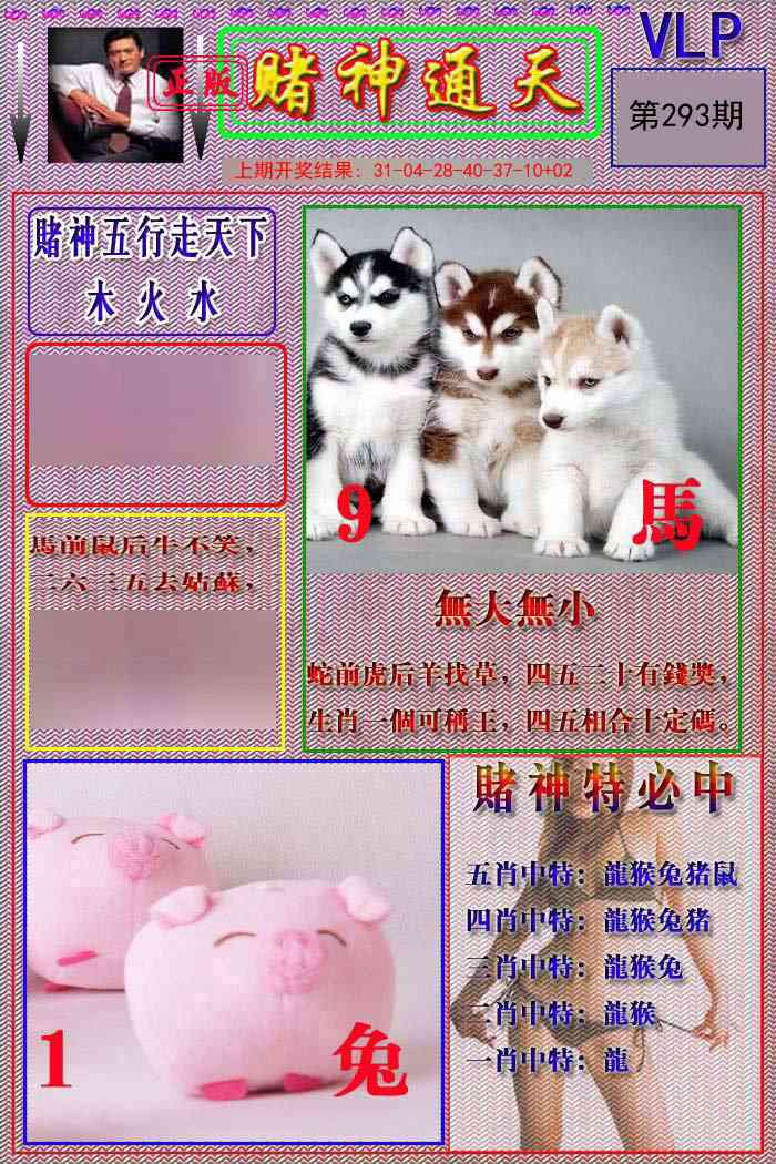 293期赌神通天报[图]