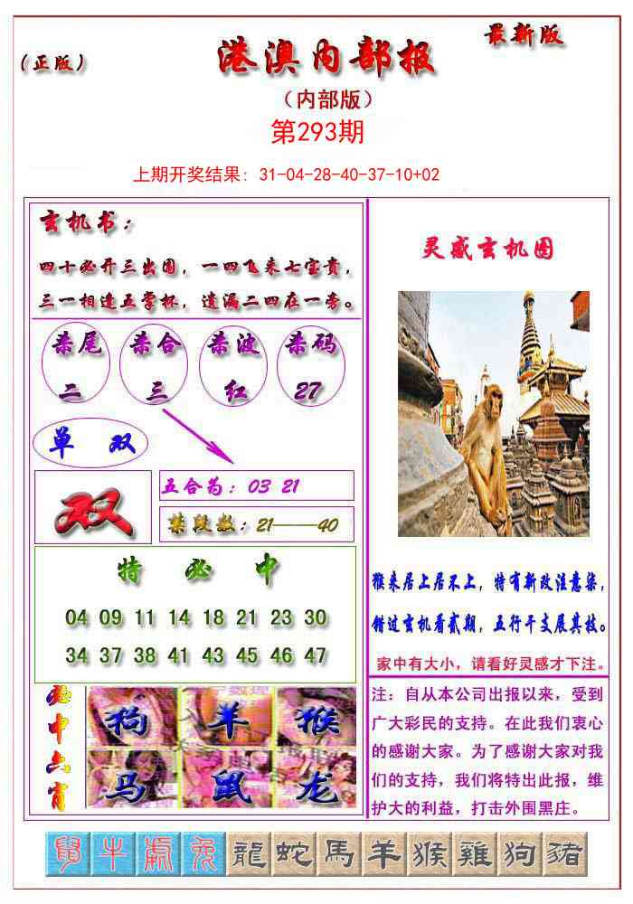 293期港澳报[图]