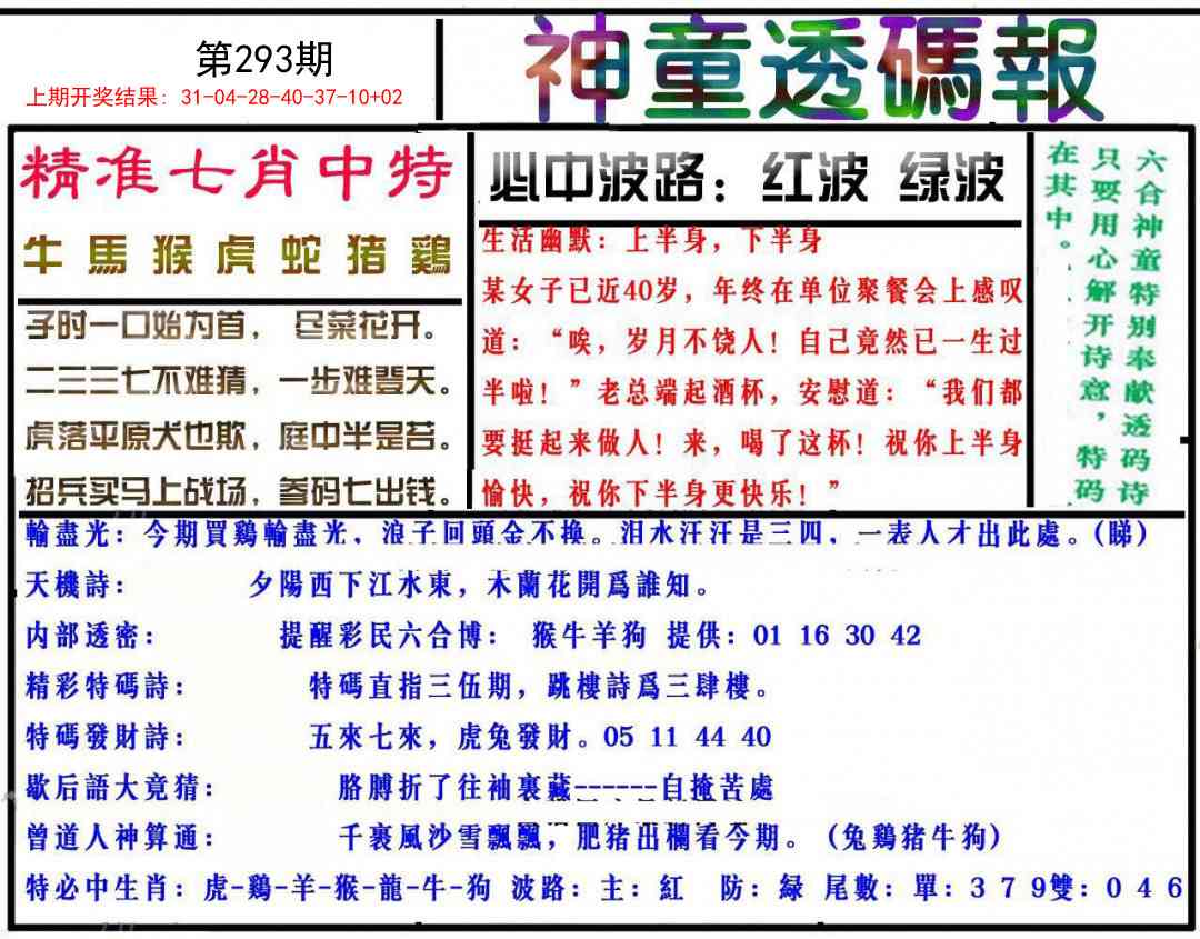 293期神童透码报[图]