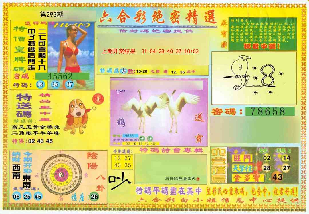 293期绝密精选A[图]