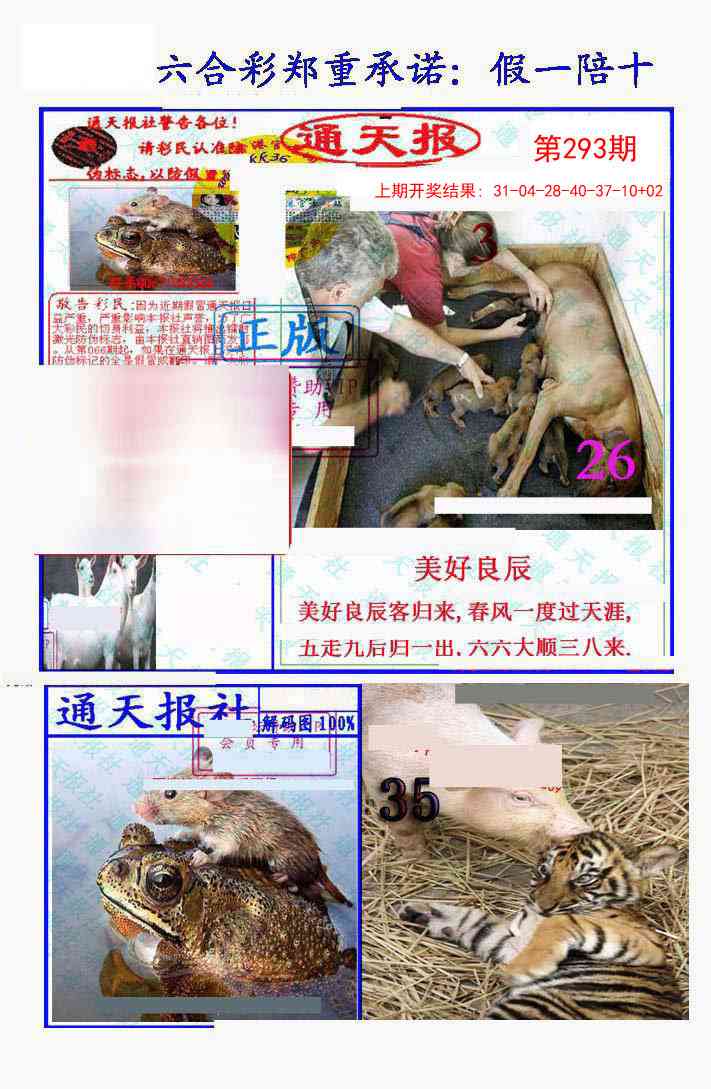293期假一陪十通天报[图]