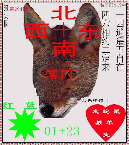 294期狗头报[图]