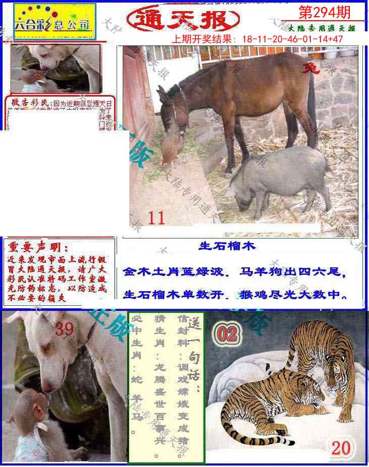 294期大陆通天报[图]