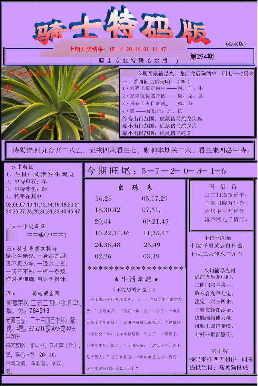 294期骑士特码版[图]