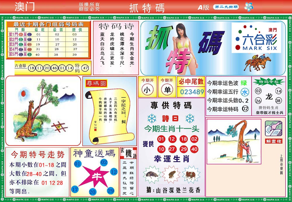 294期118抓特码A[图]