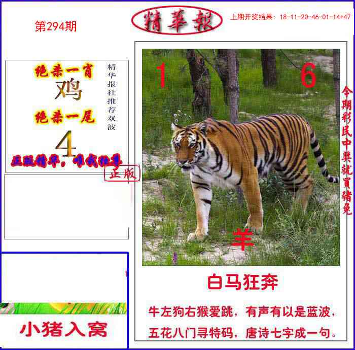 294期新精华报报[图]