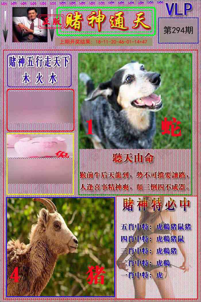 294期赌神通天报[图]