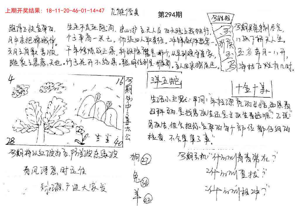 294期手写九龙内幕[图]
