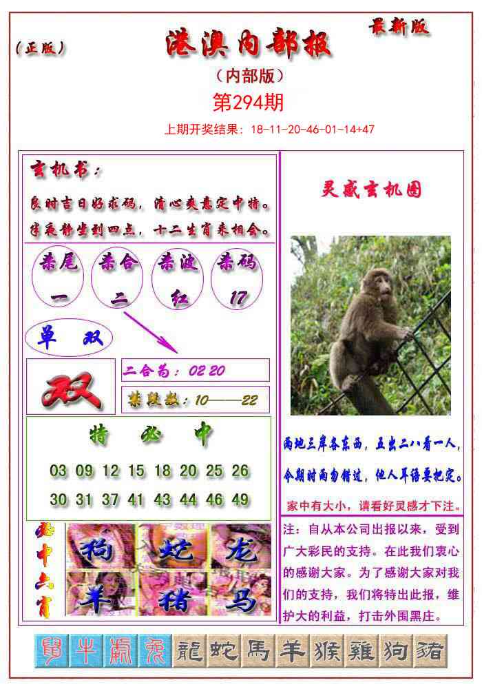 294期港澳报[图]