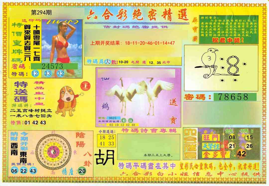 294期绝密精选A[图]