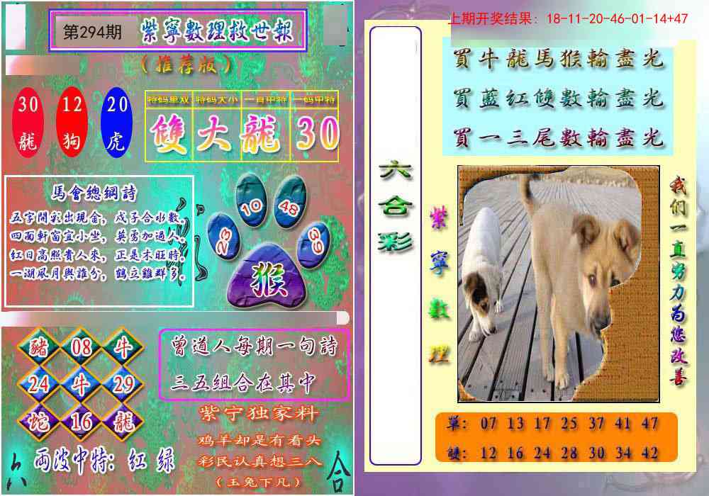294期数理救世报[图]