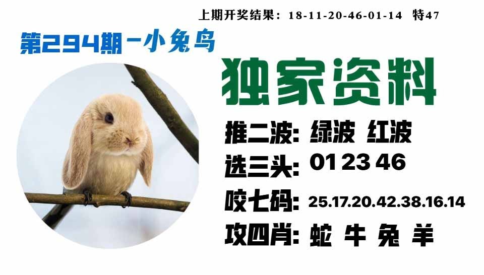 294期小兔鸟[图]