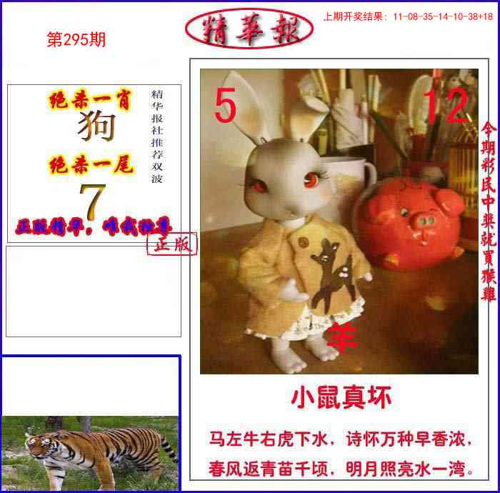 295期新精华报报[图]