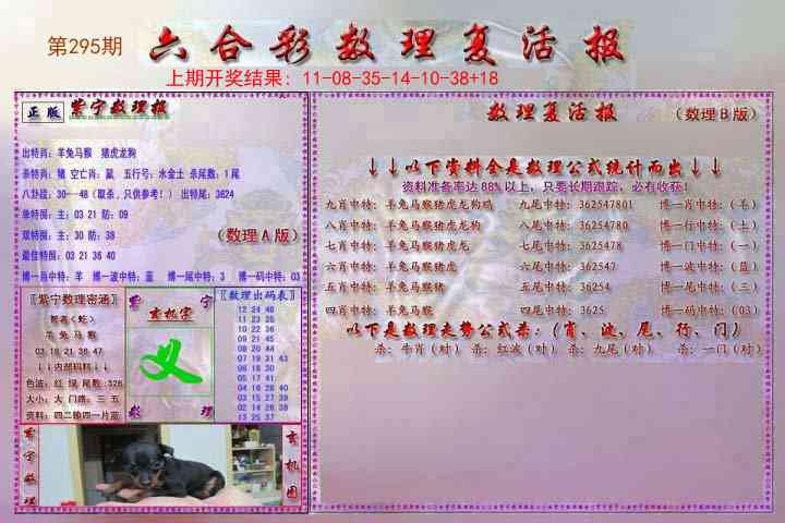 295期数理复活报[图]