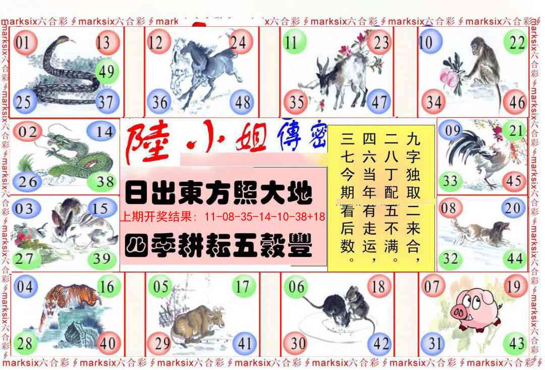 295期陆小姐传密B[图]