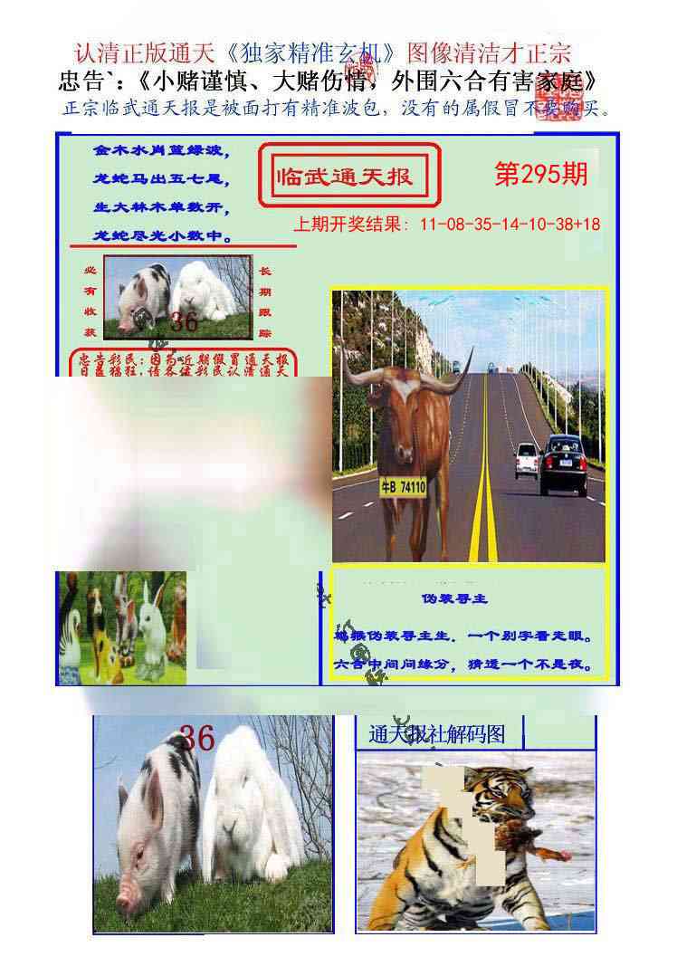 295期临武通天报[图]