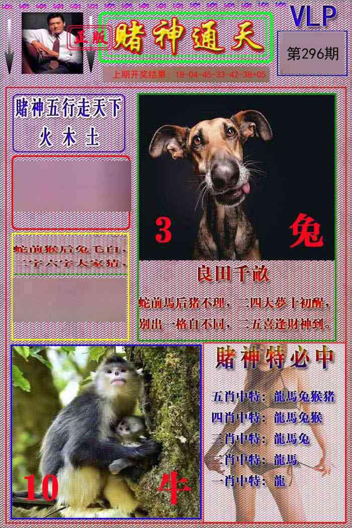 296期赌神通天报[图]