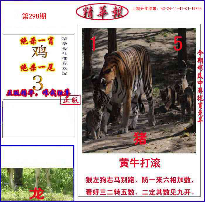 298期新精华报报[图]