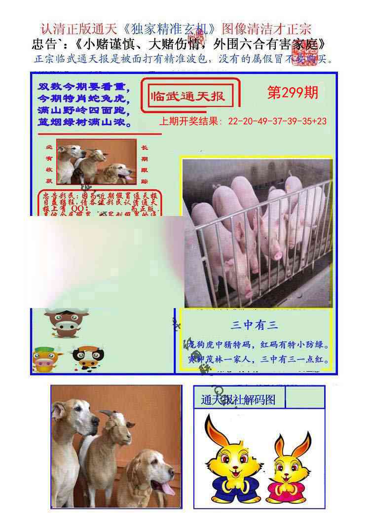 299期临武通天报[图]