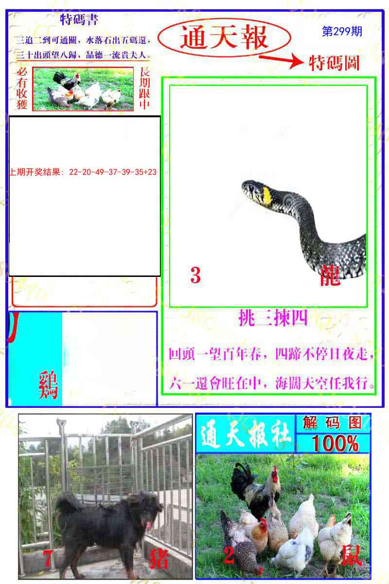 299期通天特解图[图]