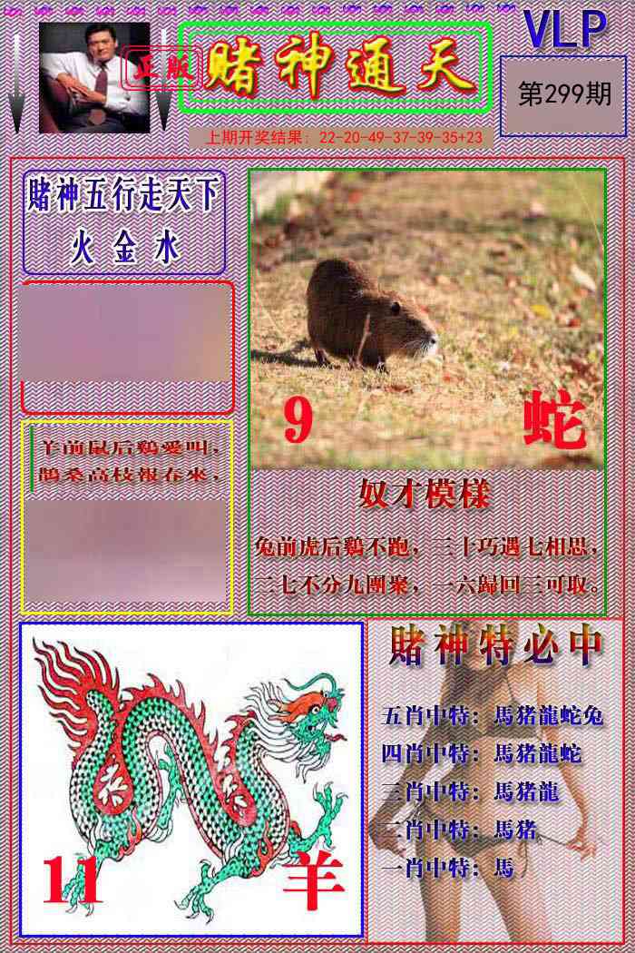 299期赌神通天报[图]