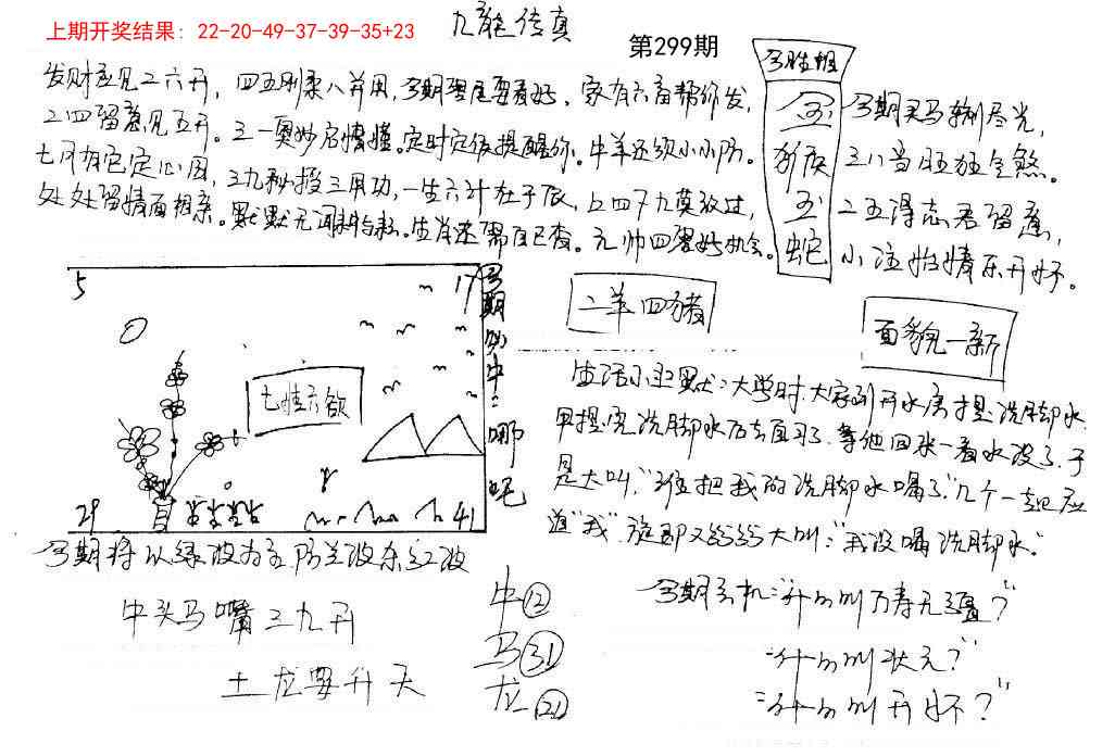299期手写九龙内幕[图]