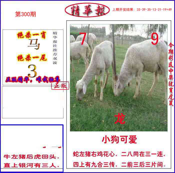 300期新精华报报[图]